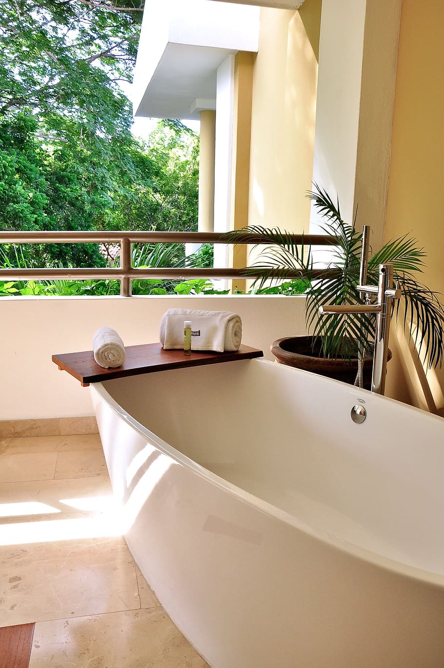 white, bathtub, linear, leafed, plant, Jacuzzi, Hotel, Bath, Relaxation, Health