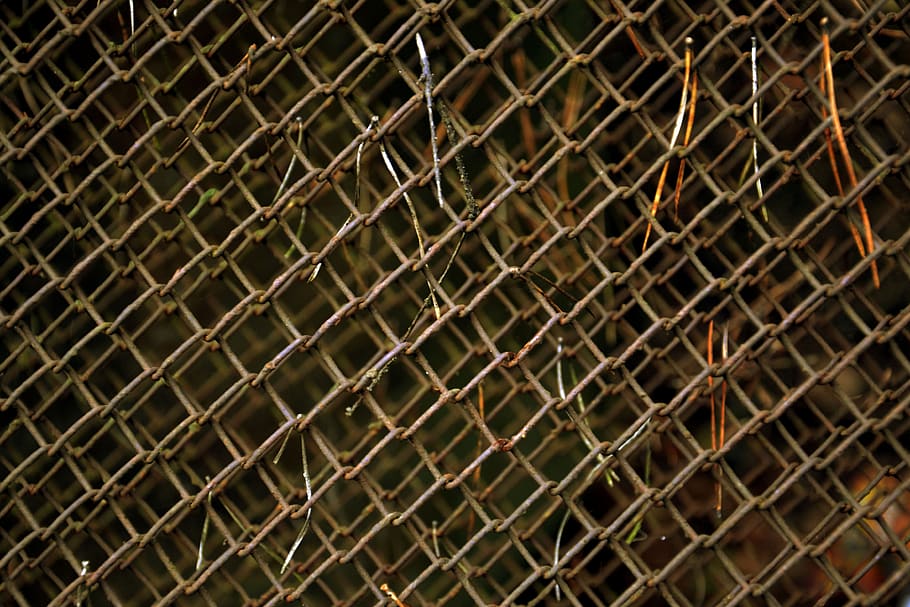 fence, netting, iron, metal, scrap, pine needles, fencing, grille, rusty, backgrounds