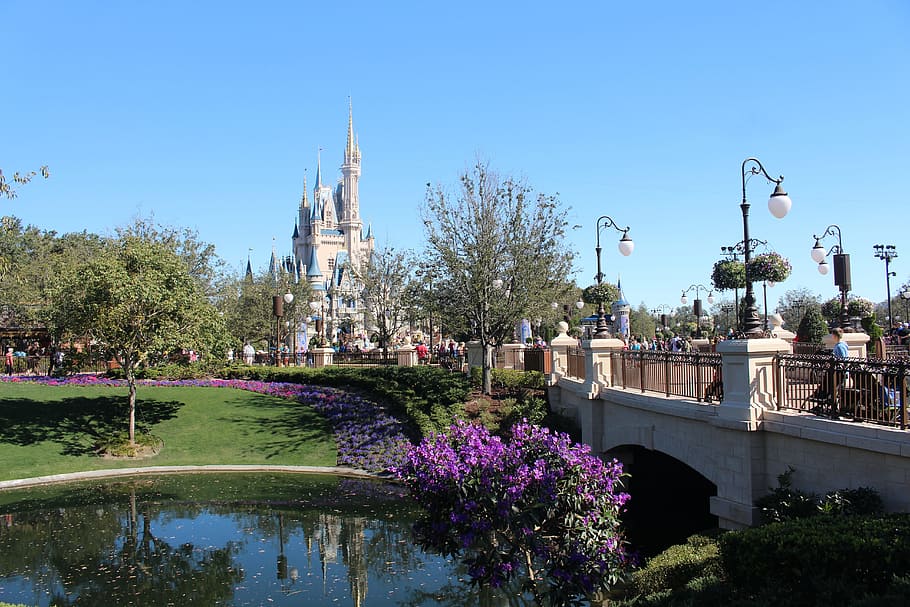 blanco, azul, castillo, durante el día, Disney World, Florida, Orlando, reino mágico, Disney, arquitectura