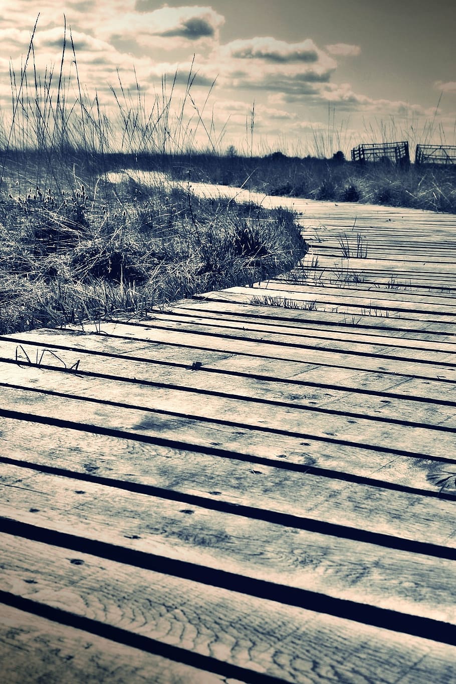 filtered, photography, wooden, dock, overlooking, grassy, fieldds, web, moor, lonely