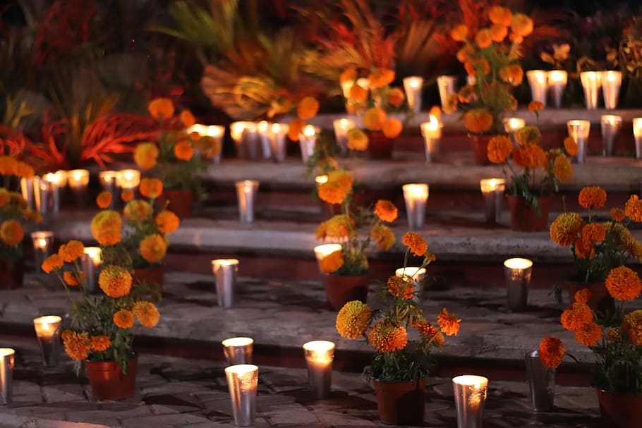 altar, day of the dead, candles, flowers, chrysanthemum, lights, memory, mexico, candle, illuminated