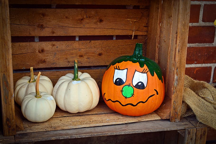 pumpkin, funny, painted, harvest time, sale, decoration, benefit from, pumpkin yard cordes, thanksgiving, farm