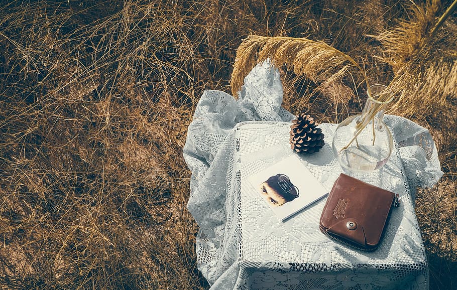 brown, leather wallet, table, glass vase, nature, relax, aromatherapy, pinecone, book, reading