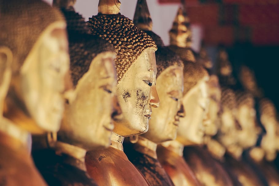 Gautama, Buda, figura, estatuas, oro, enfoque selectivo, arte y artesanía, en una fila, representación humana, representación