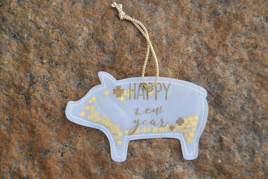 new year's day, congratulations, lucky pig, pig, gold, lucky charm, new year's eve, postcard, luck, map