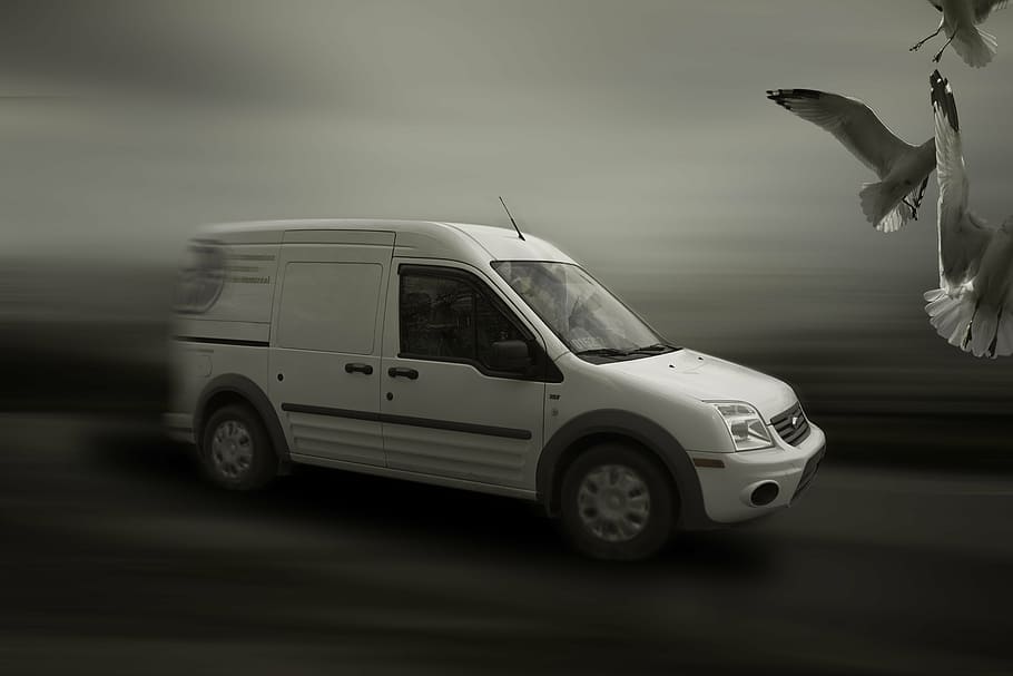grayscale ford tourneo, connect, minivan, road, birds, front, car, speed, transportation, transport