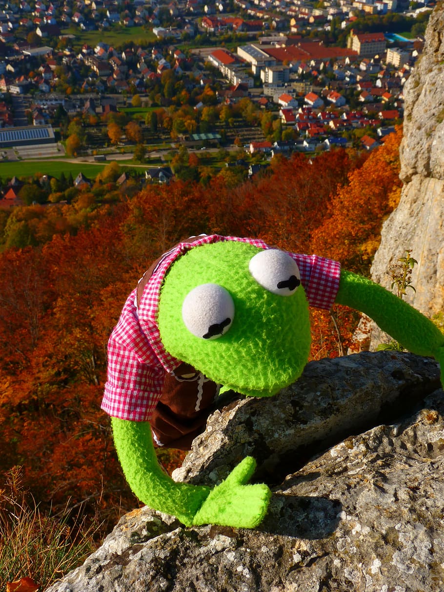 hijau, katak, mewah, mainan, memanjat, coklat, tebing batu, batu, kermit, hari