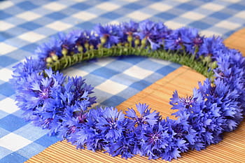 Fotos guirnalda de flores azules libres de regalías | Pxfuel