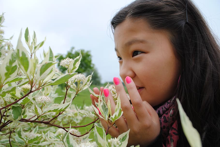 girl, smelling, white, cluster flowers, daytime, nature, landscape, person, headshot, child