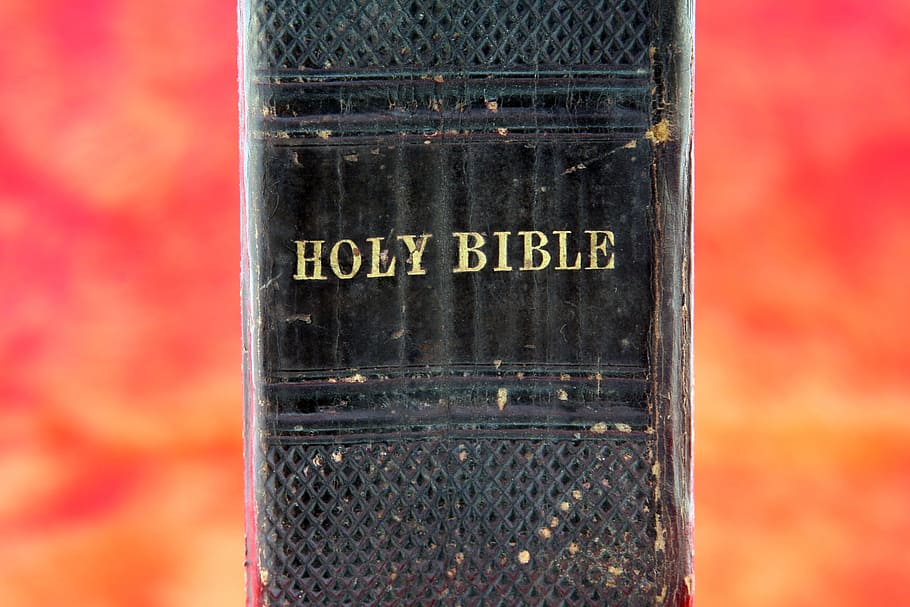 Santa Biblia, vida futura, malo, bautista, creencia, Biblia, negro, blasfemia, libro, católico