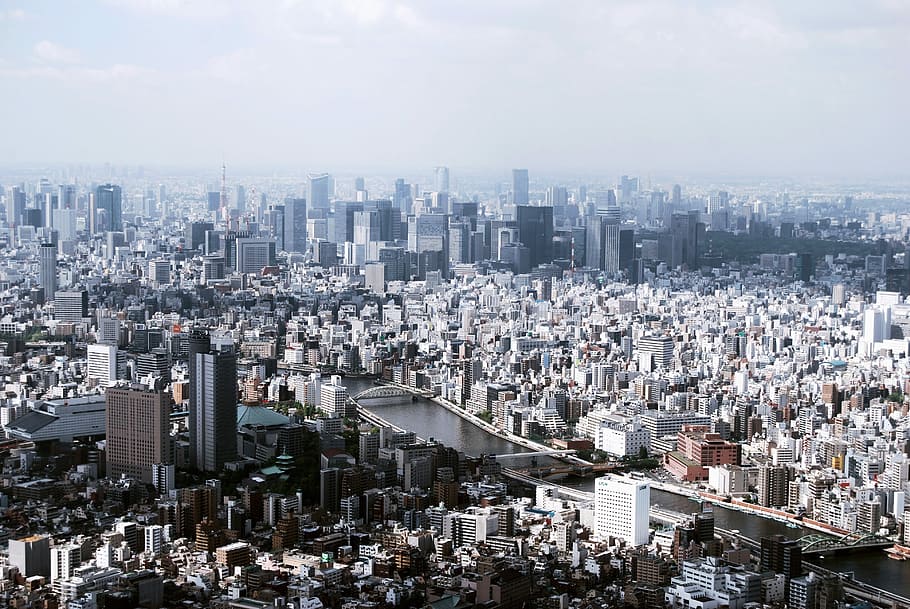 expansive, buildings, towers, cityscape, Tokyo metropolis, Japan, city, photos, metropolis, public domain