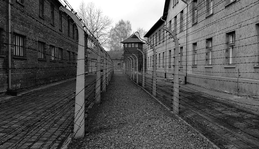 grayscale photo, barbwire pathway, auschwitz, camp, concentration camp, history, the museum, architecture, built structure, building exterior