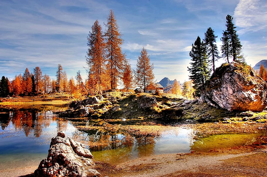 reflections photography, tall, tree, boulder, body, water, cirrus clouds, dolomites, mountains, italy
