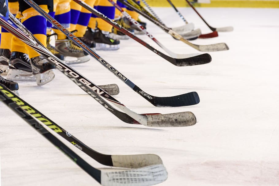 hockey team, hockey game, ice skating rink, sticks, skates, hockey players, match, game, sport, team