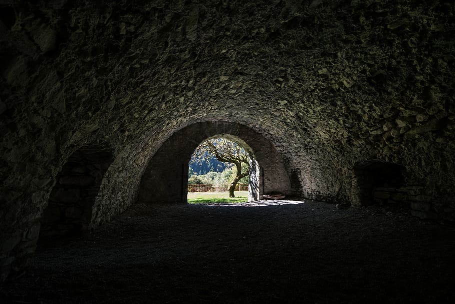 terowongan abu-abu, hitam, telanjang, pohon, dekat, terowongan, pintu masuk, hitam dan putih, arsitektur, struktur