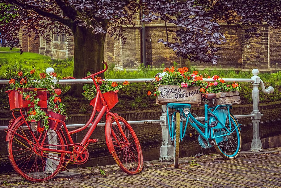 bicycles, velo, wheels, bikes, color, colorful, painted, decorated, retro, bright