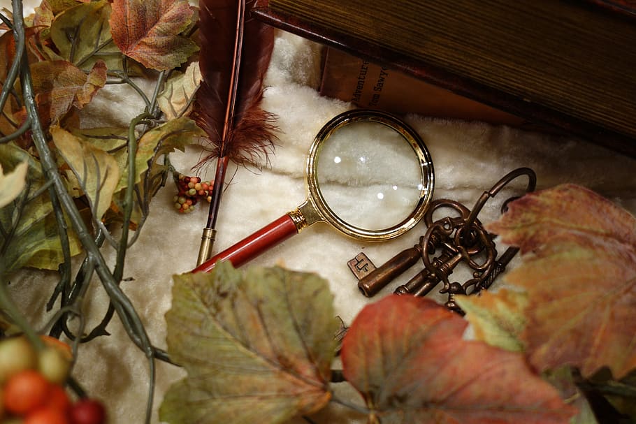 mystery, magnifying glass, autumn, plant part, leaf, still life, plant, table, vulnerability, fragility