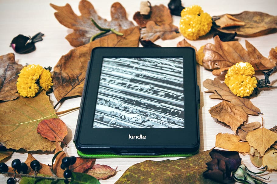 black, amazon, kindle, e-book reader, surrounded, dried, leafed, pepper white, reading, technology