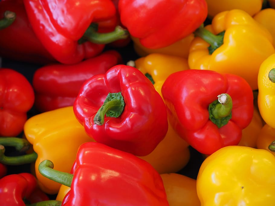 yellow, red, bell peppers, sweet peppers, paprika, healthy, vitamins, pepper, vegetables, shiny