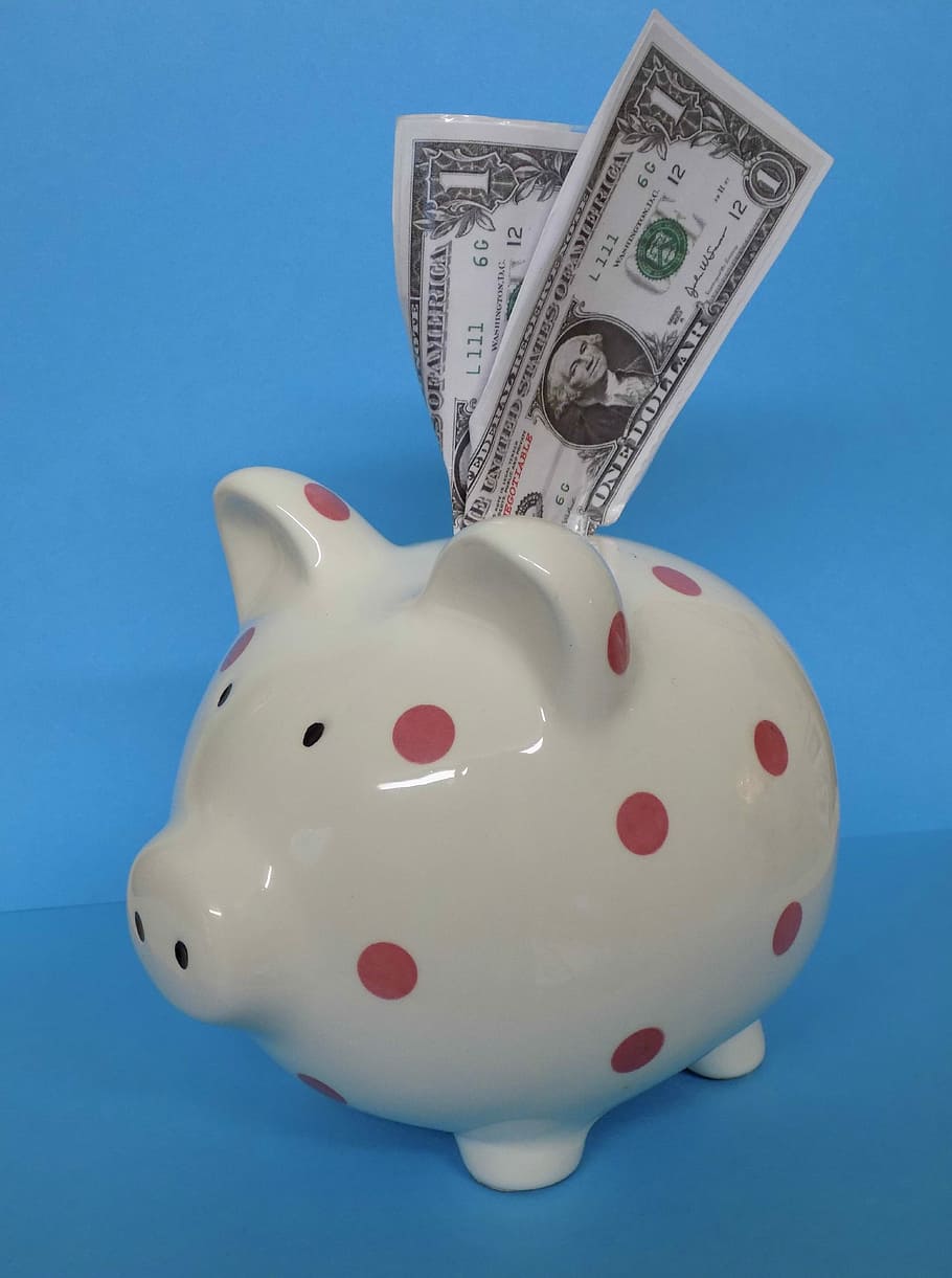 pink, white, polka-dot piggy bank, blue, surface, Piggy Bank, Financial, pig, bank, savings