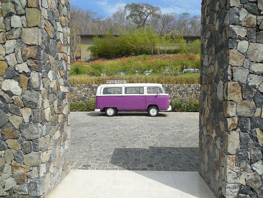 white, purple, volkswagen t 2 van, t2, parked, concrete, pavement, flowers, daytime, costa rica shuttle service