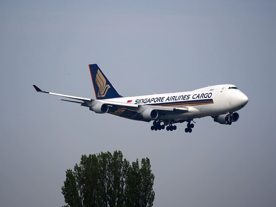 blanco, avión de carga de singapore airlines, tierra, boeing 747, jumbo jet, singapur airlines, carga, avión, aterrizaje, aeropuerto