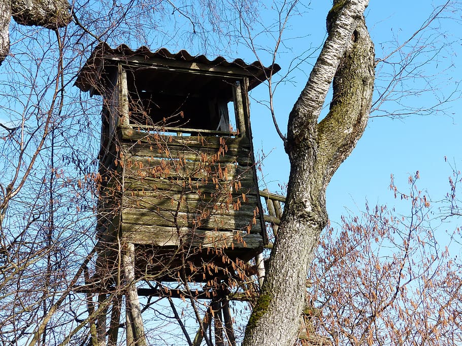 perch, hunting seat, hunter seat, delight, hunting, stalking equipment, home, treehouse, wood, view