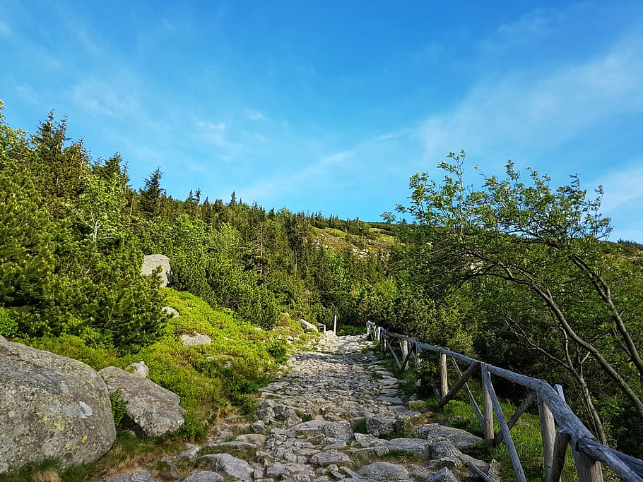 krkonoše giant mountains, mountains, holiday, hiking trails, nature, mountain trekking, view, landscape, trail, poland