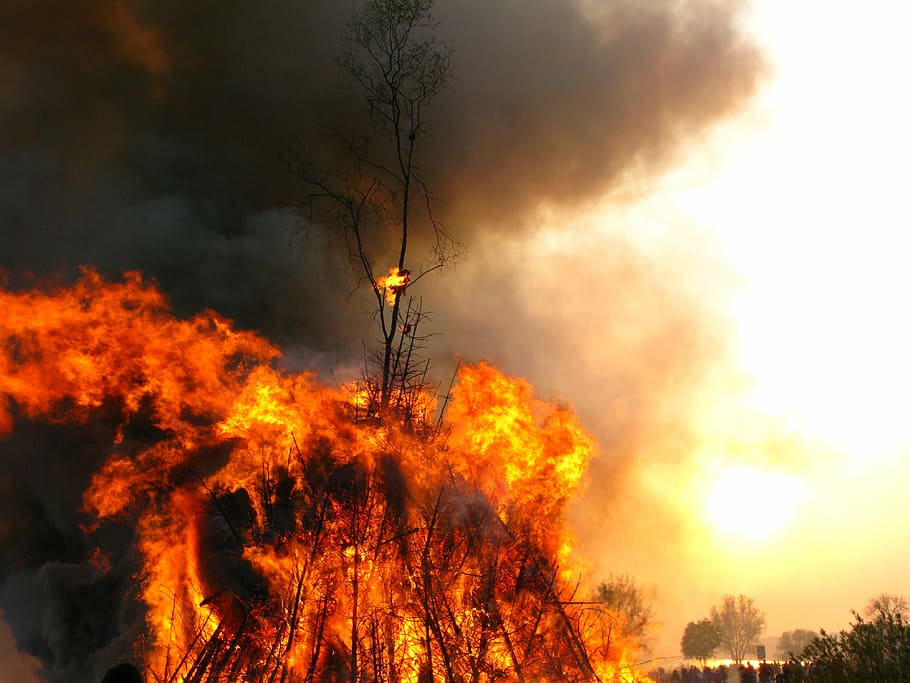 fuego de pascua, fuego, llama, quema, fuego - fenómeno natural, árbol, incendio forestal, accidentes y desastres, naturaleza, bosque