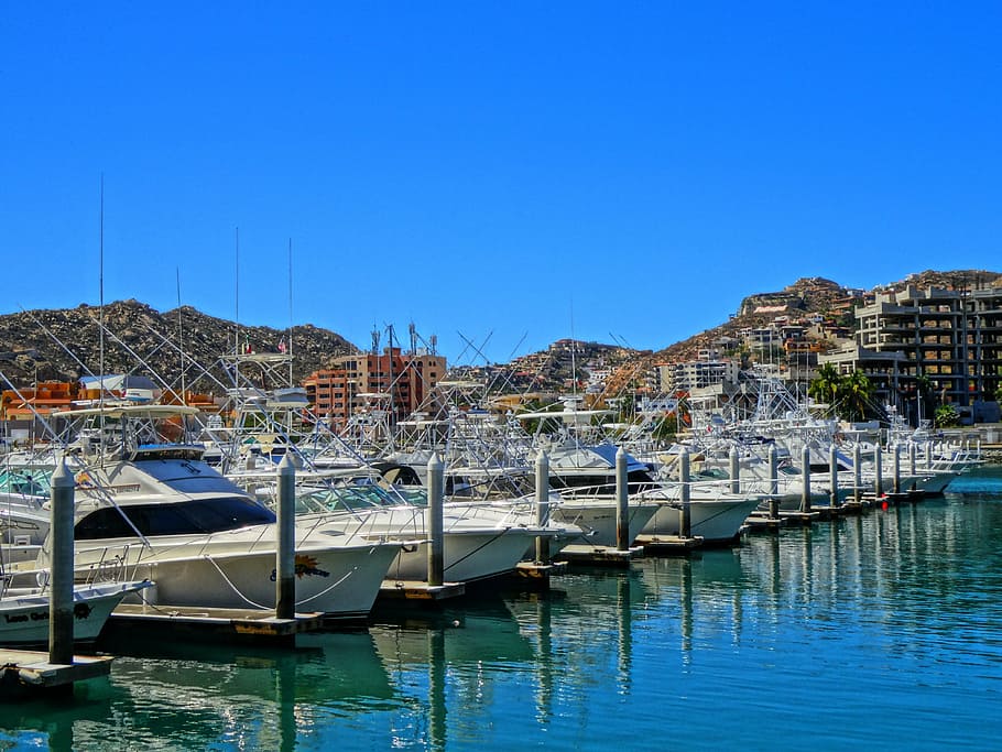 yacht, docked, harbor, marina, los cabos, cabo san lucas, moored, water, nautical vessel, reflection