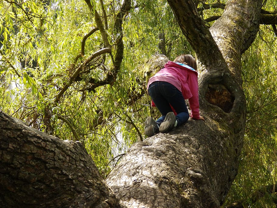 girl, climbing, tree, real people, leisure activity, plant, lifestyles, one person, tree trunk, casual clothing