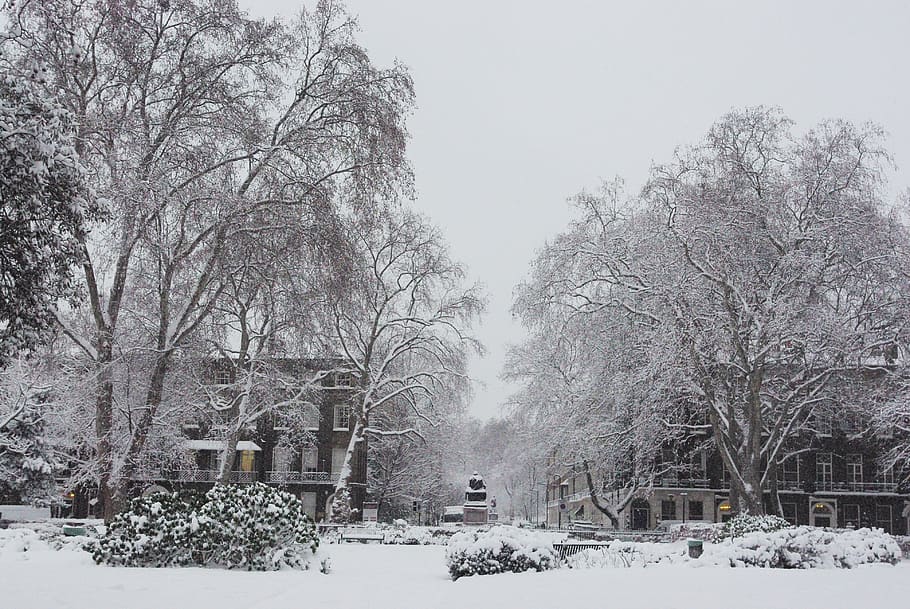 nieve, londres, ciudad, bloomsbury, plaza, invierno, inglés, navidad, clima, victoriano