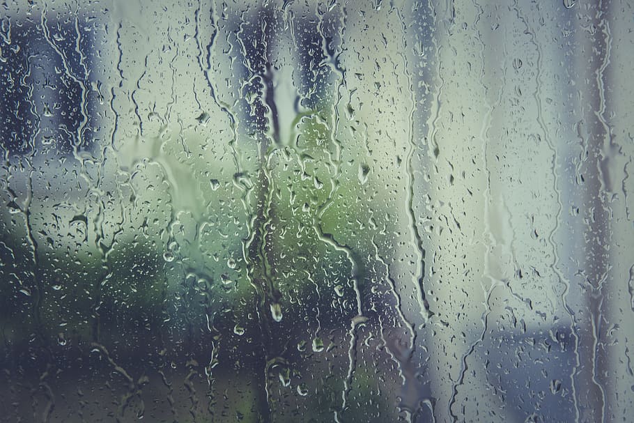tetesan air, jelas, kaca, penghenti hujan, air, cakram, panel jendela, tetesan, setetes air, basah