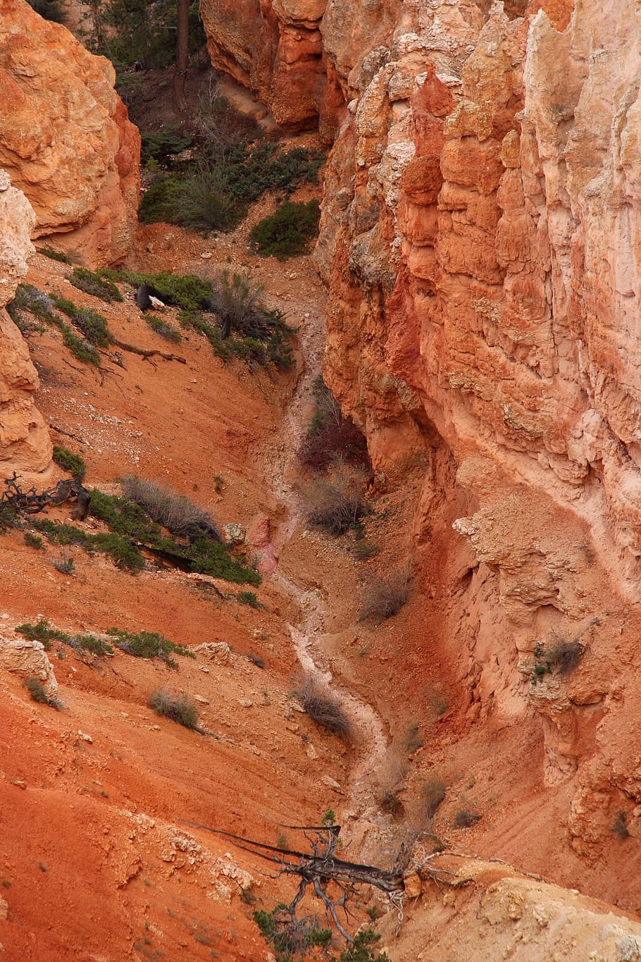 bryce canyon, america, mountains, rocks path, utah, view, nature, plants, mountain, road