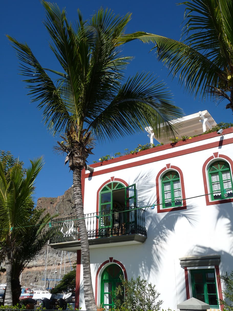 apartment, vacations, canary islands, bed amp breakfast, view, accommodation, pension, private rooms, tropical climate, palm tree