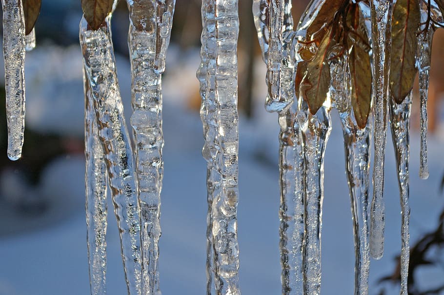 ice, ice age, icicle, winter, cold, snow, frozen, water, blue, window