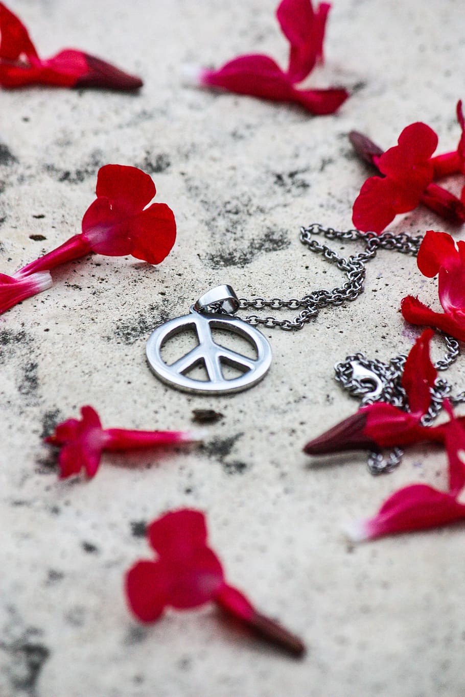 Peace, Flowers, Symbol, Nature, Summer, love, floral, hippie, icon, happy