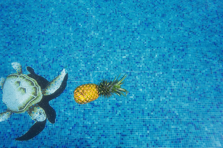 pineapple, sea turtle, dessert, appetizer, fruit, juice, crop, swim, pool, water