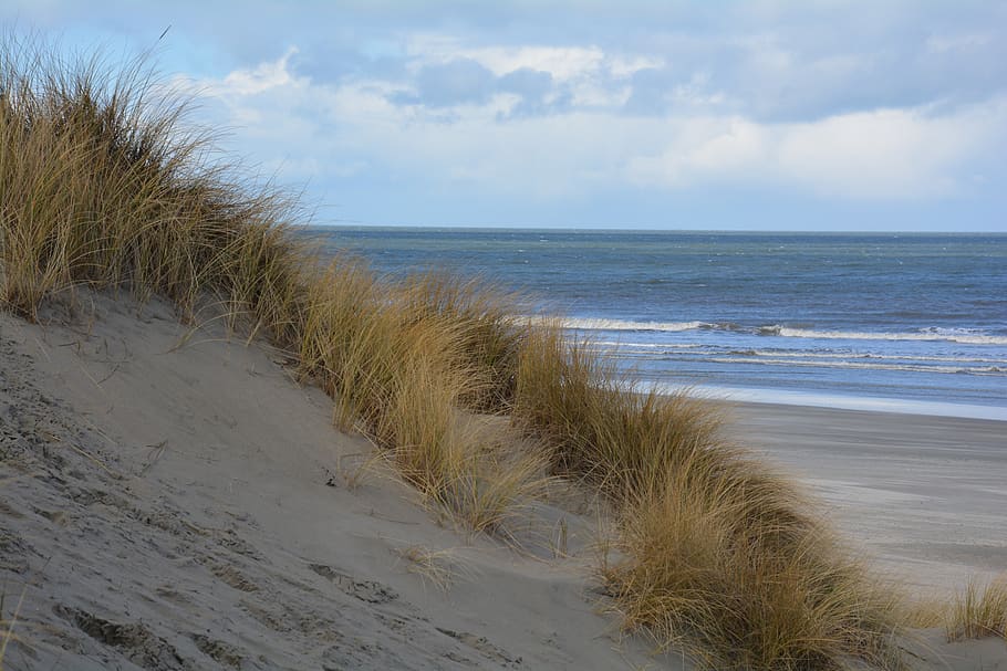 holland, ameland, beach, dunes, sea, sky, water, land, sand, beauty in nature