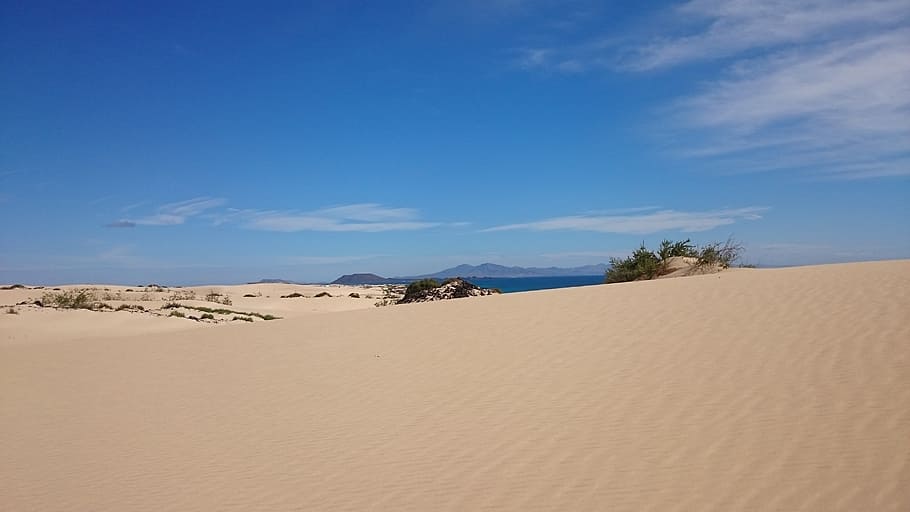 dunas, arena, corralejo, el olivo, fuerteventura, tierra, desierto, paisajes: naturaleza, duna de arena, medio ambiente