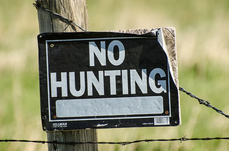 no hunting sign, no hunting, fence, wire, barbed wire, signage, posted, hunting, sign, warning