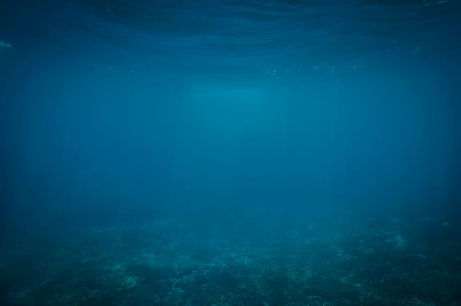 di bawah laut biru, biru, lautan, di bawah air, laut, alam, latar belakang, tidak ada orang, di luar ruangan, bingkai penuh