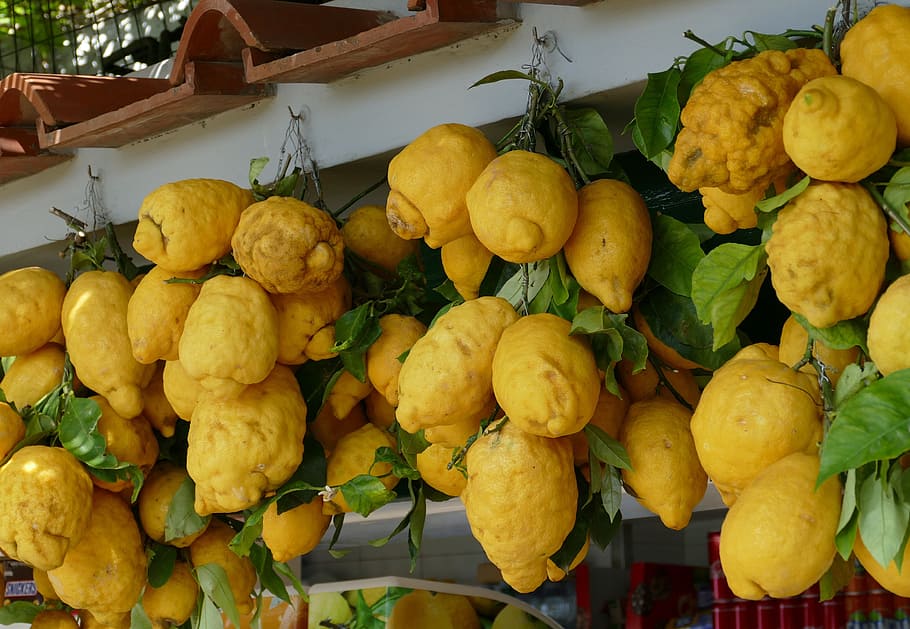 lemon, italy, mediterranean, citrus, yellow, fruit, vitamins, citrus fruits, nature, food