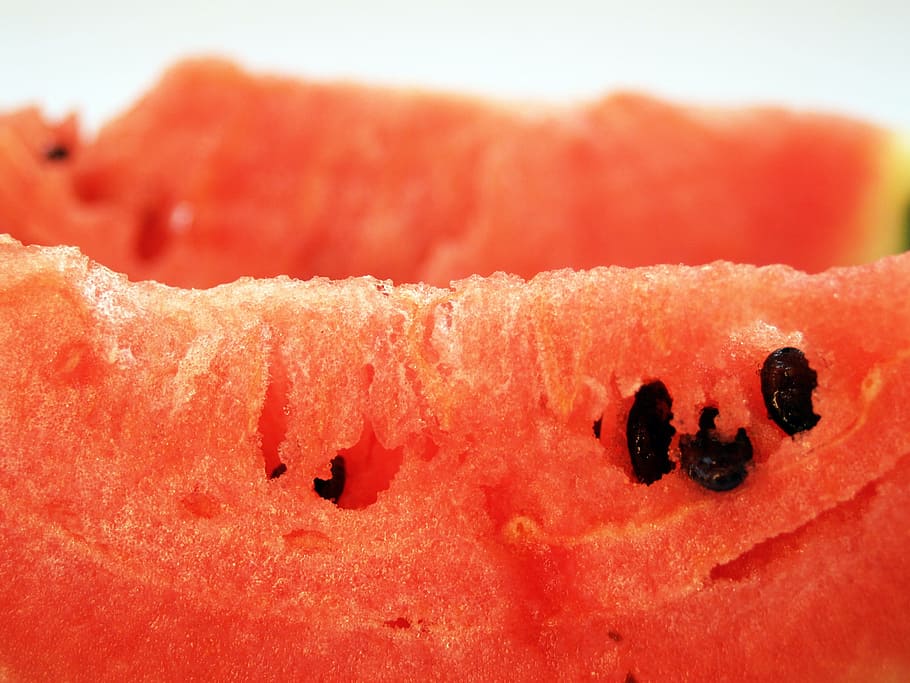Watermelon, Slice, Isolated, Seeded, delicious, tropical, dessert, white, sweet, diet food