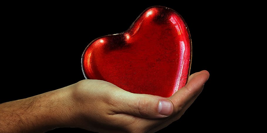 person, holding, heart-shaped, red, case, heart, hands, heart give away, love, romance