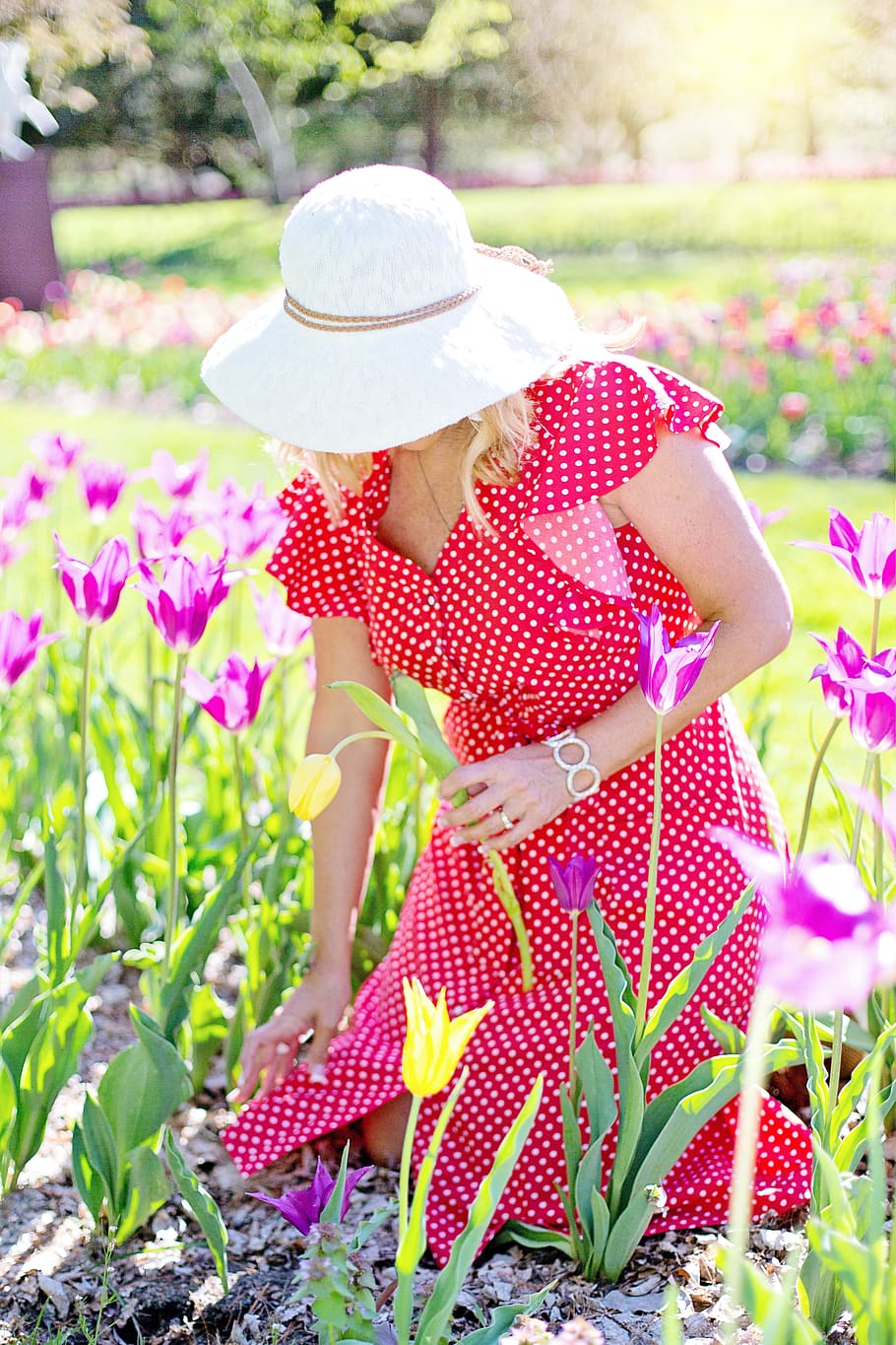 jardín, jardinería, flores, tulipanes, primavera, mujer, sombrero, vestido rojo, plantación, plantas