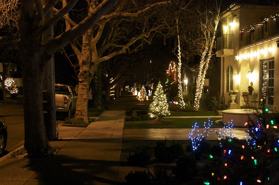 Willow Glen Christmas Lights, San José, California, Willow Glen, Christmas Lights, decoración navideña, oscuro, fotos, noche, dominio público