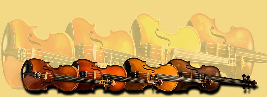 violin, viola, quartet, music, musical instruments, strings, wood, musical instrument, string instrument, arts culture and entertainment