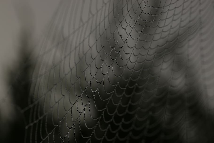 web, black and white, monochrome, rope, net, close-up, pattern, selective focus, backgrounds, security