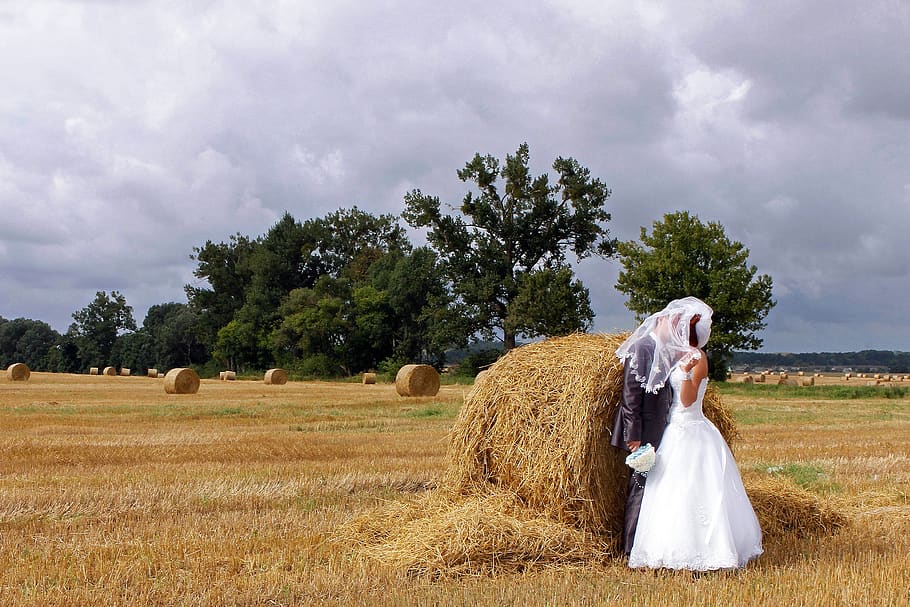 wedding, autumn, field, bride, love, nature, couple, the groom, just married, kiss